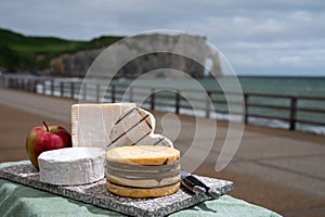 Four famous cheeses of Normandy, squared pont l`eveque, round camembert cow cheese, yellow livarot, heartshaped neufchatel and