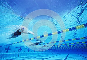 Four female professional participants racing in pool