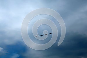 Planes fly in the sky