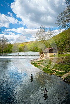 Four fishermen compete in Fly Fishing at Bennet Spring State Park in Missouri