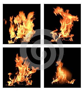 Four flames photo