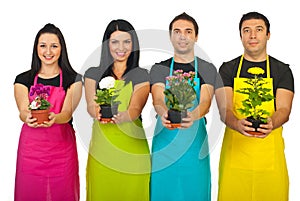 Four florist workers showing plants