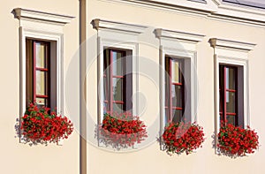 Four flowery windows in a row photo