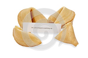 Four fortune cookies with slip adventure prediction
