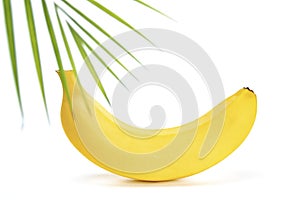 Four fresh banana on white background with shadow