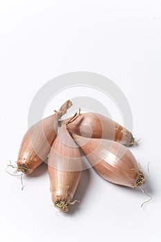 Four Fresh Echalion Shallots On White Background