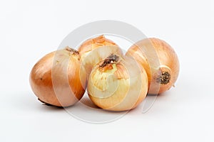 Four Fresh onions on a white background, close up