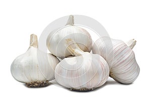 four fresh white garlic bulbs in stack isolated on white background with clipping path, Thai herb is great for healing several photo