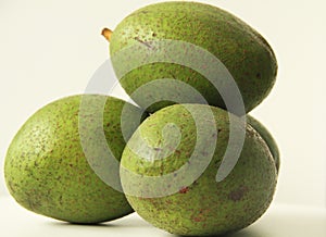 Four Fruit avocado organic City Bom Sucesso Minas Gerais Brazil