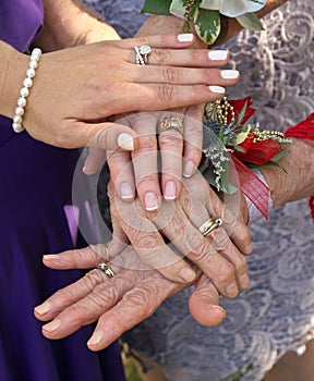 Four Generations of Women& x27;s Hands Placed on Top of Each Other