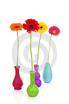 Four Gerber flowers in colorful vases