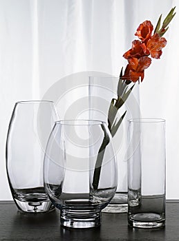 Four Glass Vases