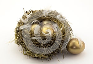 Four gold nest eggs