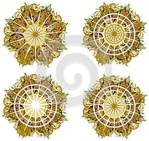 Four golden beautiful flowers with star inside on white