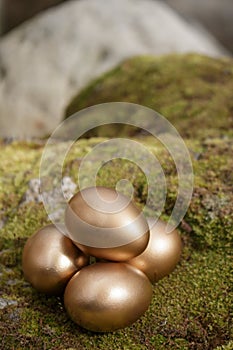 Four golden Easter eggs on moss and rock