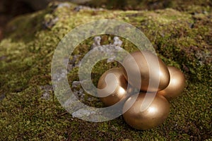 Four golden nest eggs on mossy rock