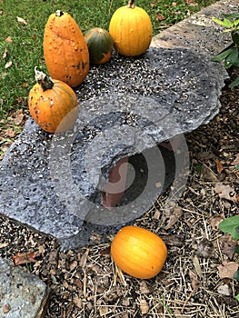 Four Gourds on Stone Bench, One Below