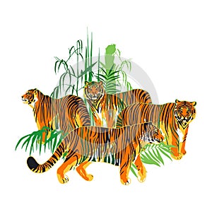 Four graphic tigers standing and walking among the exotic leaves and trees