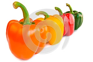 Four green peppers bell peppers isolated on white background.