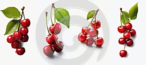Four groups: Bunch of cherries with leaves on white background
