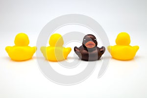 Four gum ducks