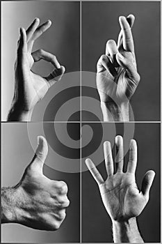 Four hands gesturing (b&w)