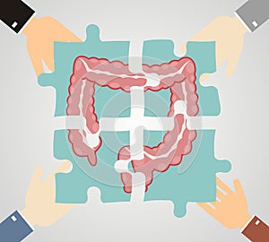 Four hands putting jigsaw puzzle pieces with image of large intestine together