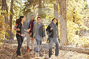 Four happy friends enjoy a hike in a forest, California, USA