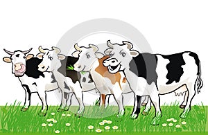 Four Happy Spotted Cows in Grass
