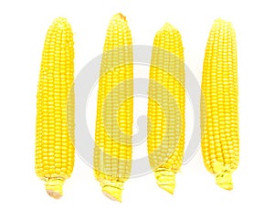 Four heads of corn isolated