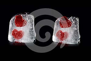 Four hearts in melting icecubes #1