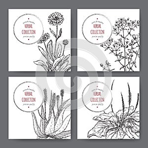 Four herbal labels with calendula, saint john wort, aloe, plantago