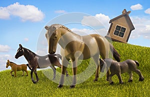 Four horses pasturing in the country