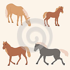 Four horses set vector illustration