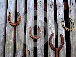 Four horseshoes on a wooden door