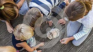 Four kids various age sitting outside on wooden terrace around a cute furry baby pet rabbit