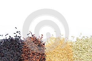 Four kinds of dry organic rice seeds on white background