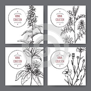 Four labels with star anise or badiane, liquorice, Digitalis and common flax sketch.