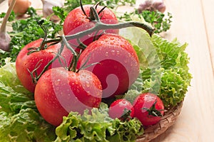 Four large and two small tomatoes, lettuce, garlic in a basket