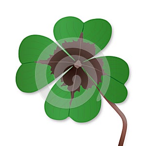 Four-leaf clover