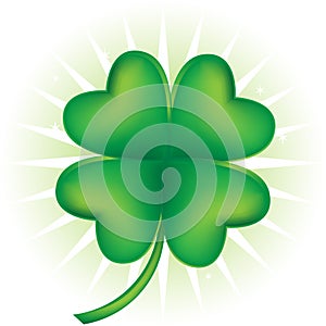 Four Leaf Clover photo