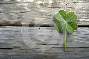 Four-leaf clover brings luck! Happy St. Patrick\'s Day!