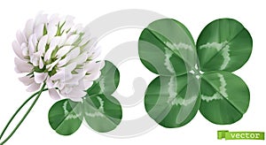 Four leaf clover and clover flower. 3d vector icons