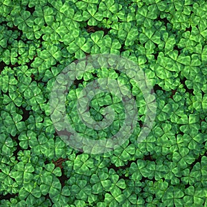Four-leaf clover field for background