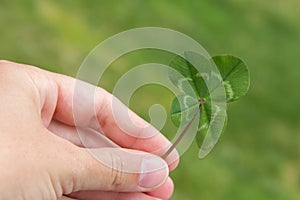 Four-leaf clover in hand horizontal on a green