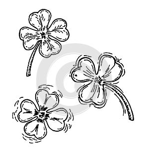 Four leaf clover icon. Simple icon. St. Patrick s day. Silhouette. Vector illustration isolated on white background