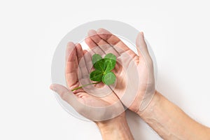 A four leaf clover in male`s hands on white background. Good for luck or St. Patrick`s day. Shamrock, symbol of fortune, happine