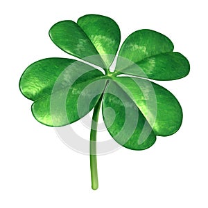 Four Leaf Clover