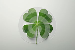 Four Leaf Clover