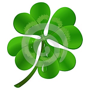 Four leaf clover - St. Patrick`s day symbol